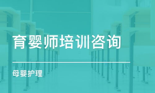 沈阳育婴师培训学费与价格全解析 金牌家政与群学咨询服务深度调研